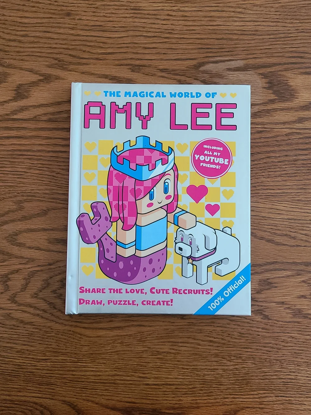 Amy Lee Magical World Activity Book